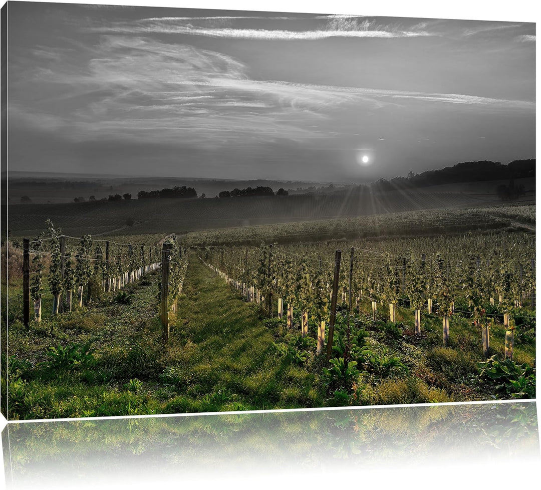 Pixxprint Weinberg in Bergerac Frankreich als Leinwandbild/Grösse: 100x70 cm/Wandbild/Kunstdruck/fer