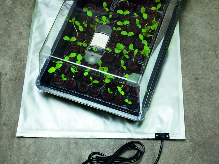 Romberg Heizmatte (Heizung Anzuchthaus/Zubehör Zimmergewächshaus) SkinnyHeat 95" - 12093113