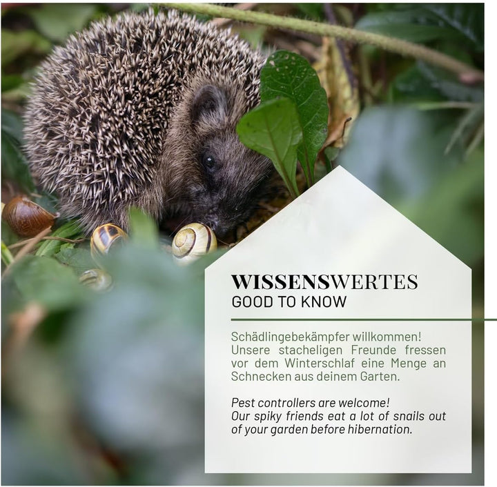 WILDLIFE HOME Igelfutter VON IGELHILFEN EMPFOHLEN Getreidefrei 1kg - Artgerechtes Spezialfutter für