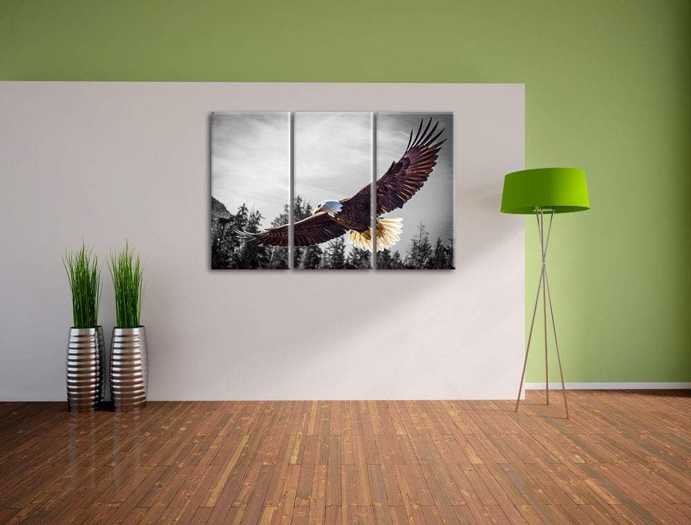 Pixxprint grosser Fliegender Adler als Leinwandbild | Grösse: 3 Teilig (120x80) | Wandbild| Kunstdru