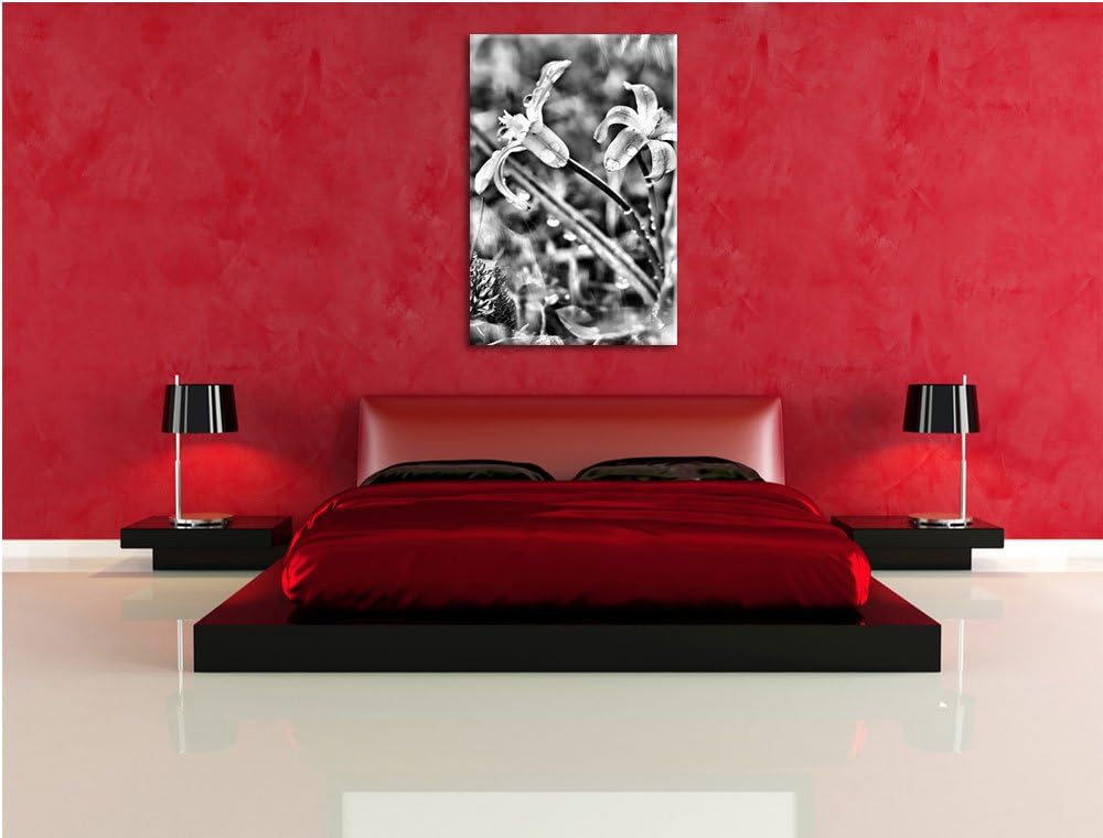 Pixxprint Kleine Lila Waldblume / 100x70cm Leinwandbild bespannt auf Holzrahmen/Wandbild Kunstdruck