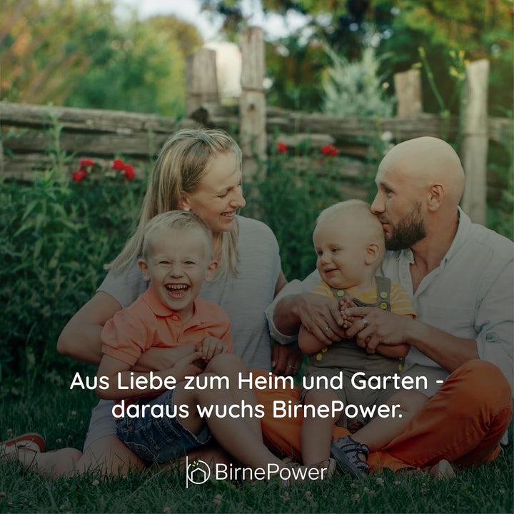 BirnePower Sichtlagerkästen Set KST16, 16er Set Stapelboxen TRUCK mit 5 Wandleisten, Modulares Wandr