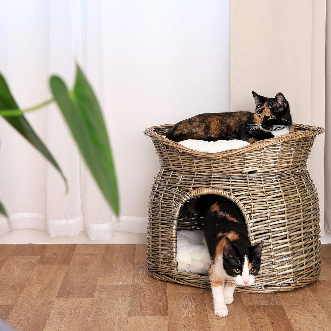 lionto Weidenkorb für Katzen und kleine Hunde mit 2 weichen Liegekissen, 55x39x43 cm, gemütlicher Ka