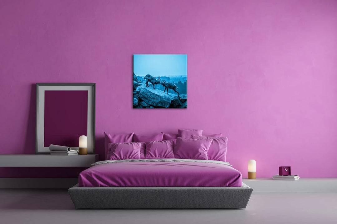deyoli Zwei kämpfende Steinböcke Format: 70x70 Effekt: Monocrome Blau als Leinwand, Motiv fertig ger