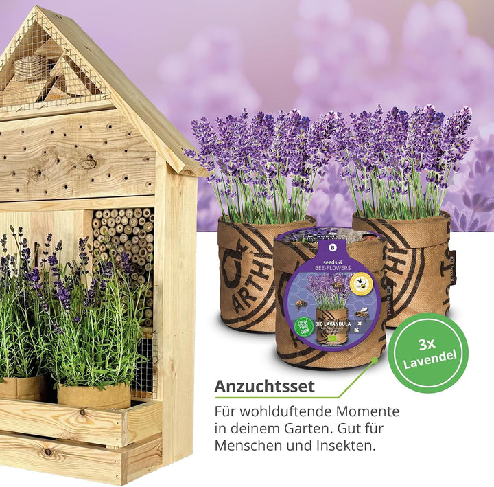 GARTENETAGE Stehendes Insektenhotel XXL mit Pflanzenoase Lavendel - inkl. Anzuchtset/Naturbelassenes