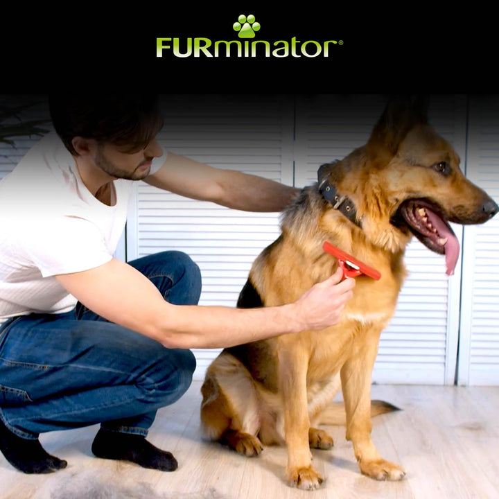 FURminator deShedding-Tool Hund Grösse XL Kurzhaar - Hundebürste für sehr grosse Hunde zur Entfernun