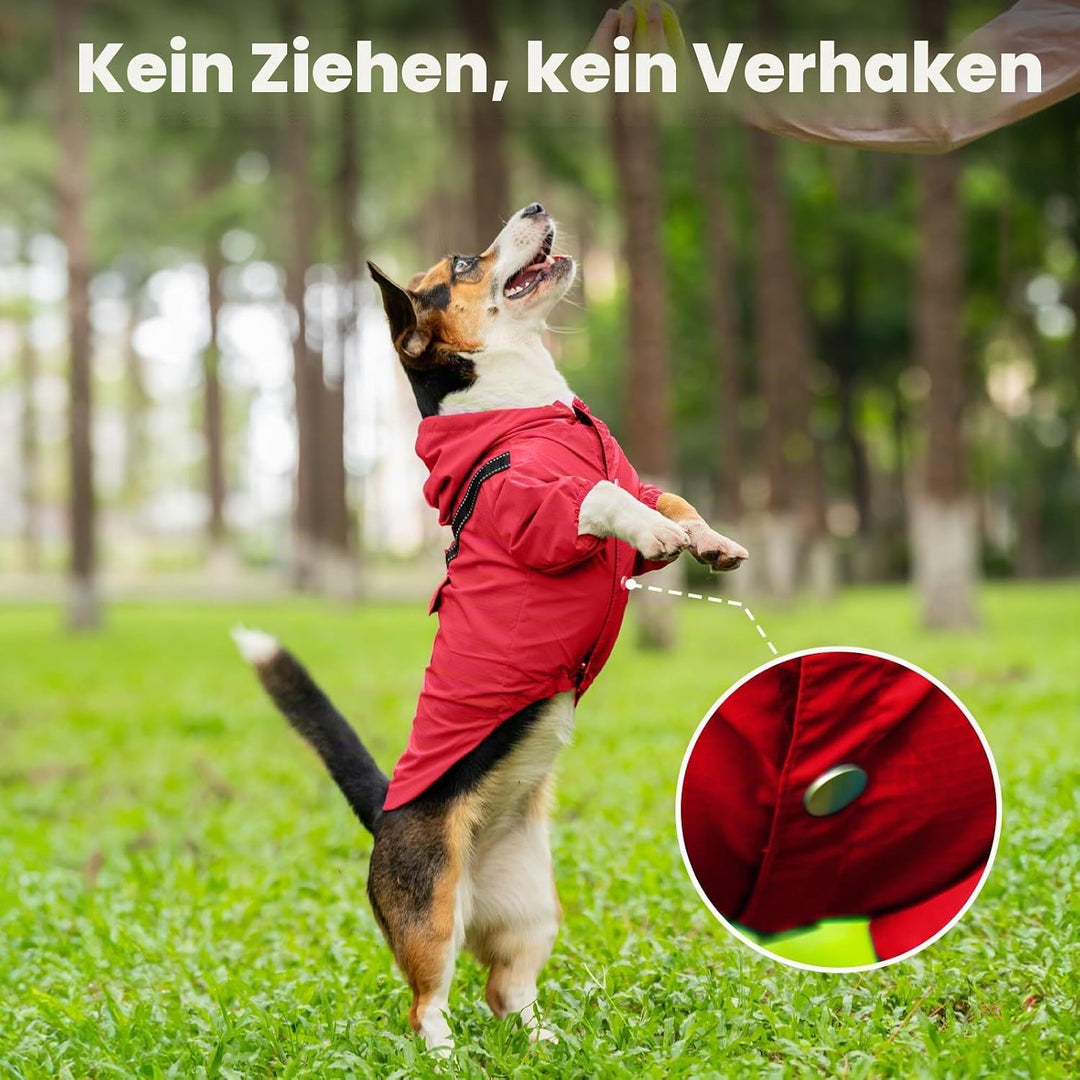 JoyDaog Regenmantel für extra kleine Hunde mit Kapuze, wasserdichte Outdoor-Regenjacke für Hunde, We