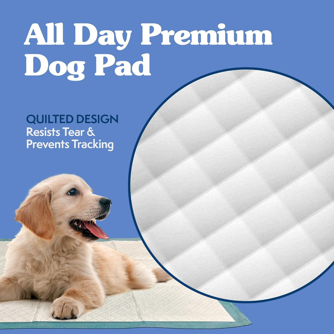 simple solution Einfache Lösung Extra grosse Hunde Training Pads, 28 x 30, 50 CT (Verpackung kann va