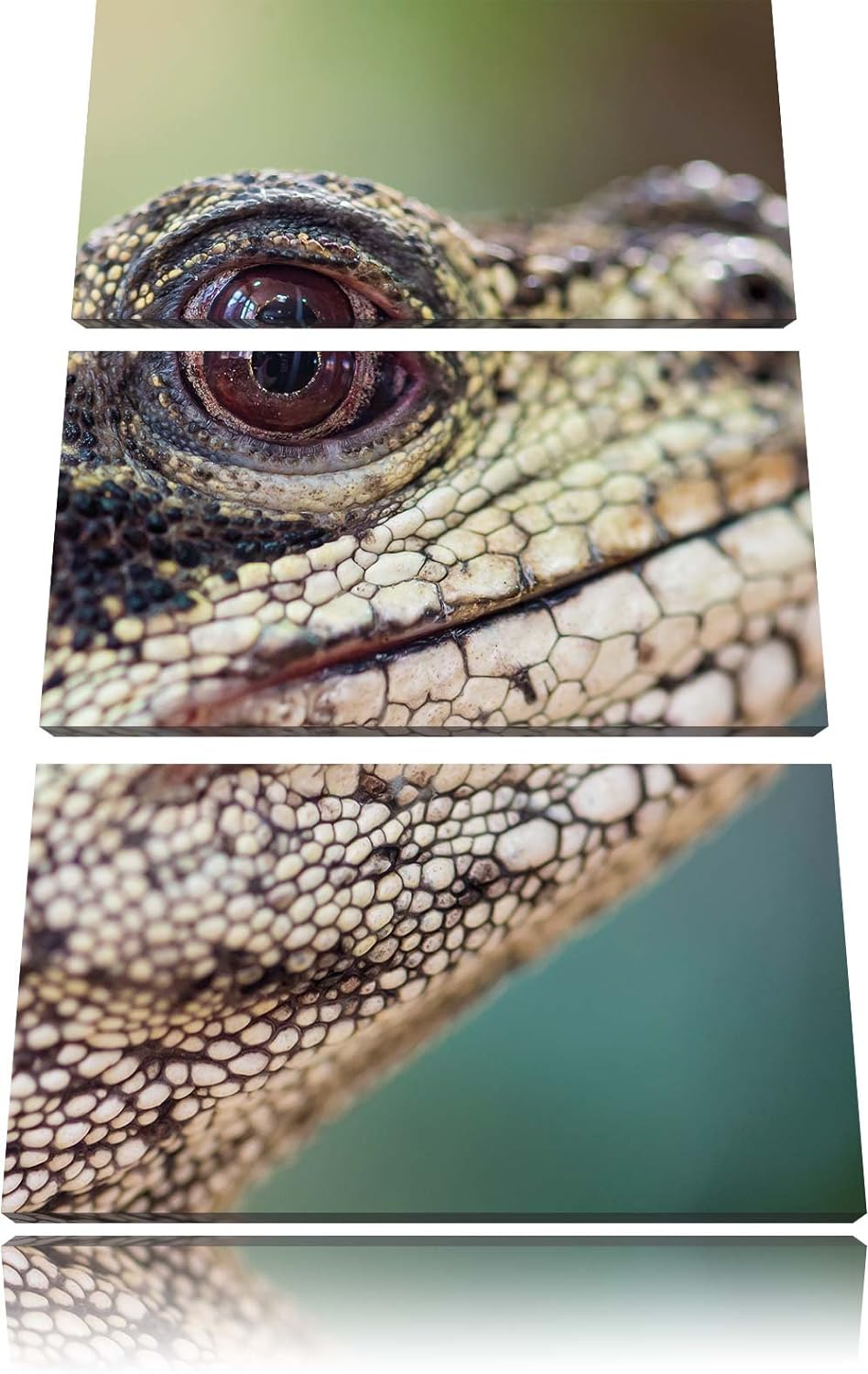 Pixxprint Prächtiger Leopard als Leinwandbild/Grösse: 3 Teilig (120x80) / Wandbild/Kunstdruck/fertig