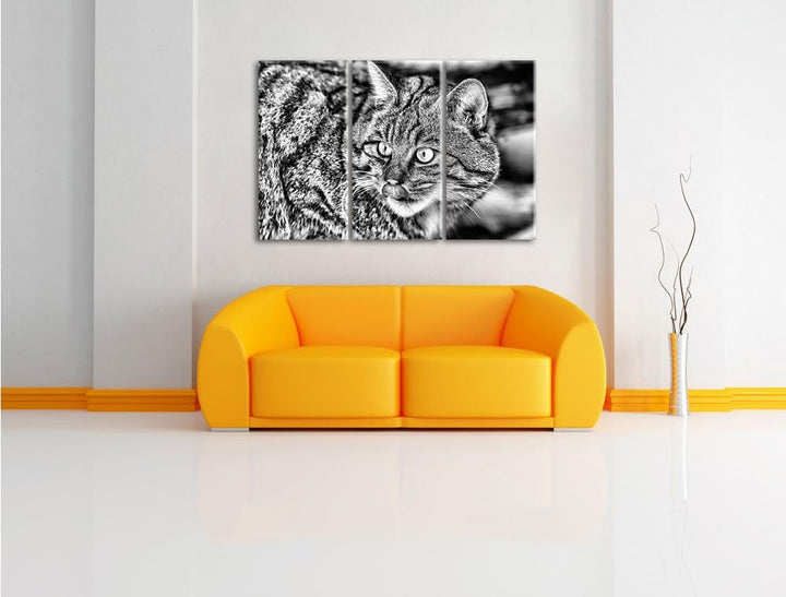 Pixxprint schöne Manul in Schneelandschaft als Leinwandbild/Grösse: 3 Teilig (120x80) cm/Wandbild/Ku