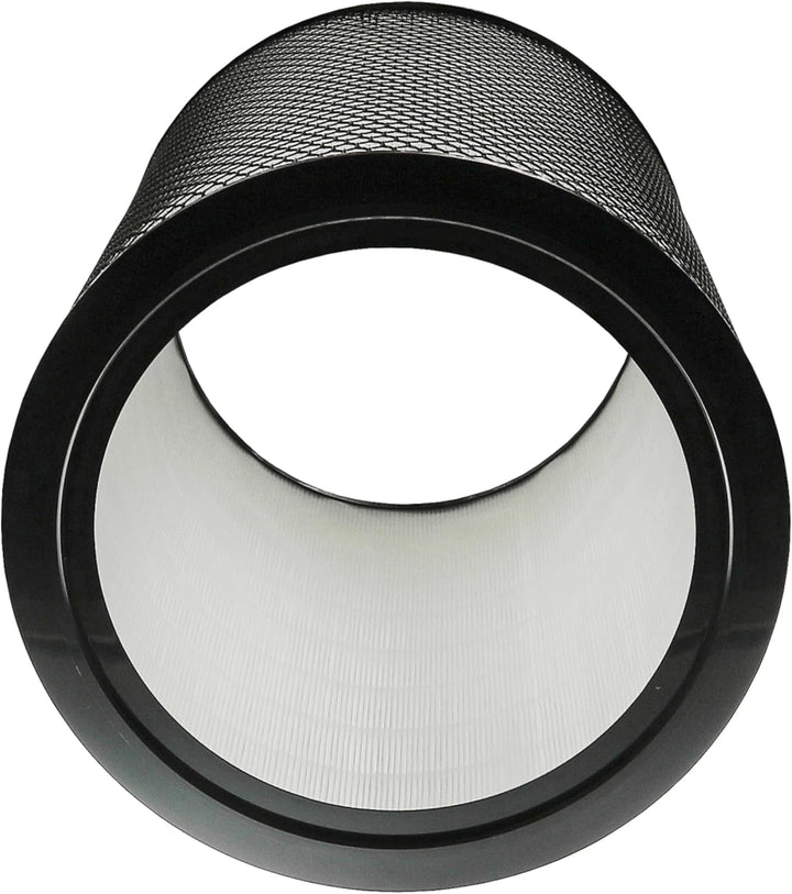 vhbw 2x HEPA 13 Filter kompatibel mit Dyson HEPA Big+Quiet Formaldehyde BP06 Luftreiniger - Ersatz-F