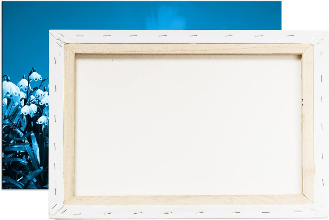 deyoli zauberhafte Schneeglöckchen Format: 80x60 Effekt: Monocrome Blau als Leinwand, Motiv fertig g