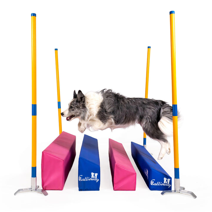 Callieway Agility Soft-Weitsprung - FCI konform (inkl. 4 Ecksteher in orange) blau/himbeer inkl. Eck