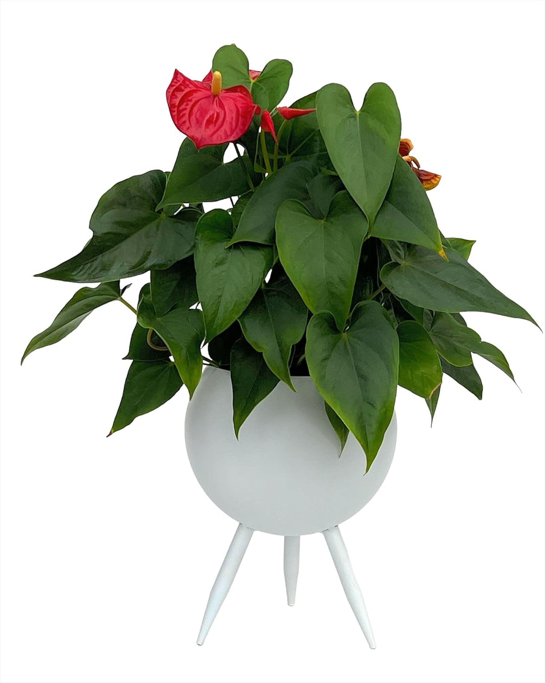 DanDiBo Blumenhocker Metall mit Topf Weiss 27 cm Blumenständer 96259 L Blumensäule Modern Pflanzenst