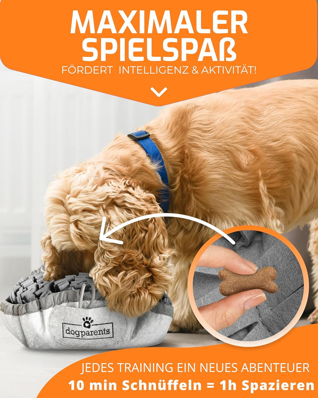 DOGPARENTS® Schnüffelteppich Hund klein & gross – Schnüffelmatte Hund ROBUSTER Hunde Schnüffelteppic