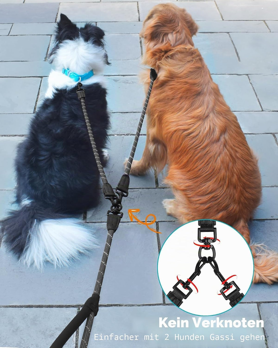 PetBonus Hundeleine Doppelleine für 2 Hunde, Keine Verwicklung Trainingsleine mit Zwei Gepolsterten