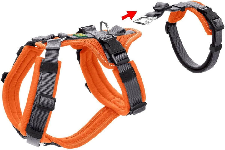 Sicherheitsgeschirr Maldon Farbe orange/grau, Grösse XS XS orange/grau, XS orange/grau