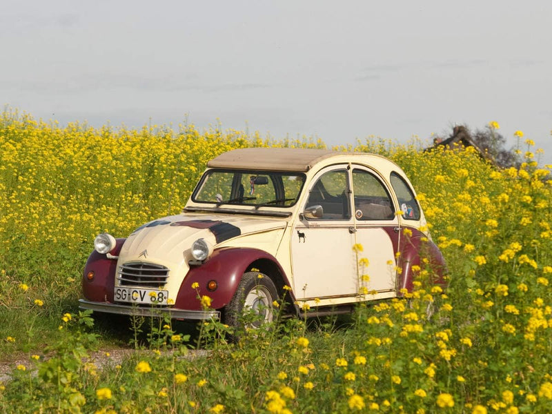 CALVENDO Puzzle Kultautomobil Ente Citroën 2CV 1000 Teile Lege-Grösse 64 x 48 cm Foto-Puzzle Bild vo