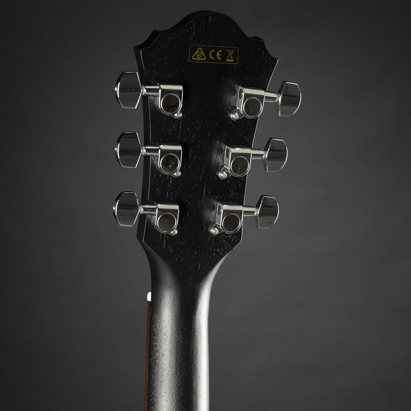 Ibanez AE295-WK