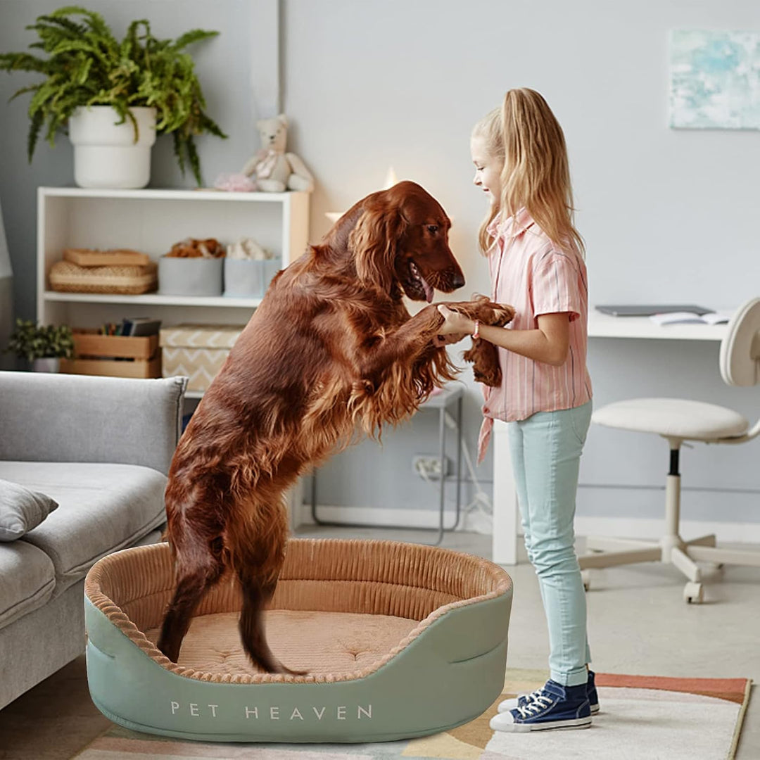 PETCUTE Hundebett für Mittlere Hunde,Orthopädisch Haustierbett für kleine und mittelgrosse Hunde und