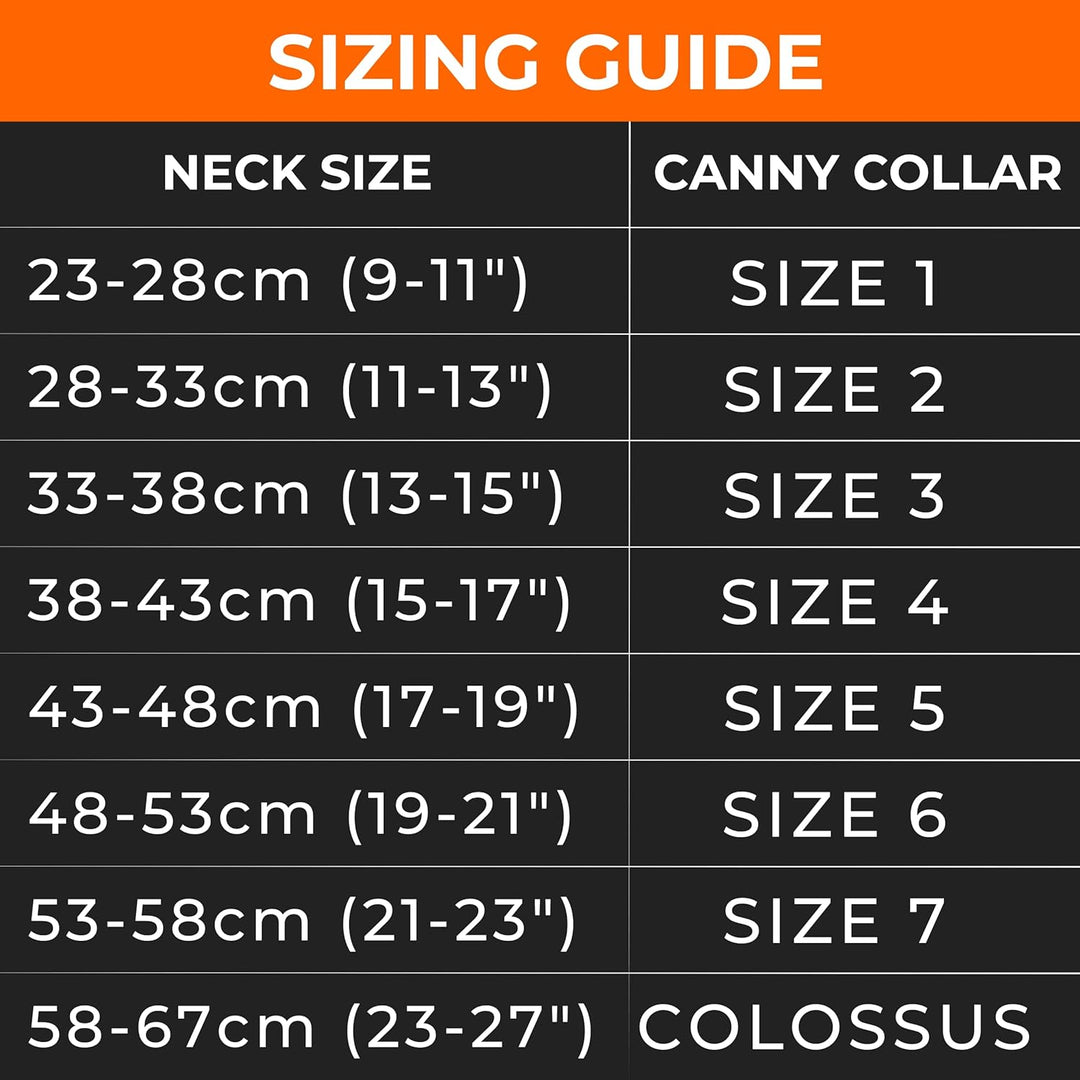 Canny Halsband – The Canny Colossus Hundehalsband für grosse Hunderassen, einfache und effektive Hil