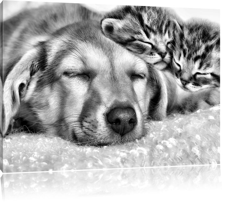 Pixxprint Monocrome, Kätzchen und Hund schmusend, Format: 100x70 auf Leinwand, riesige Bilder fertig