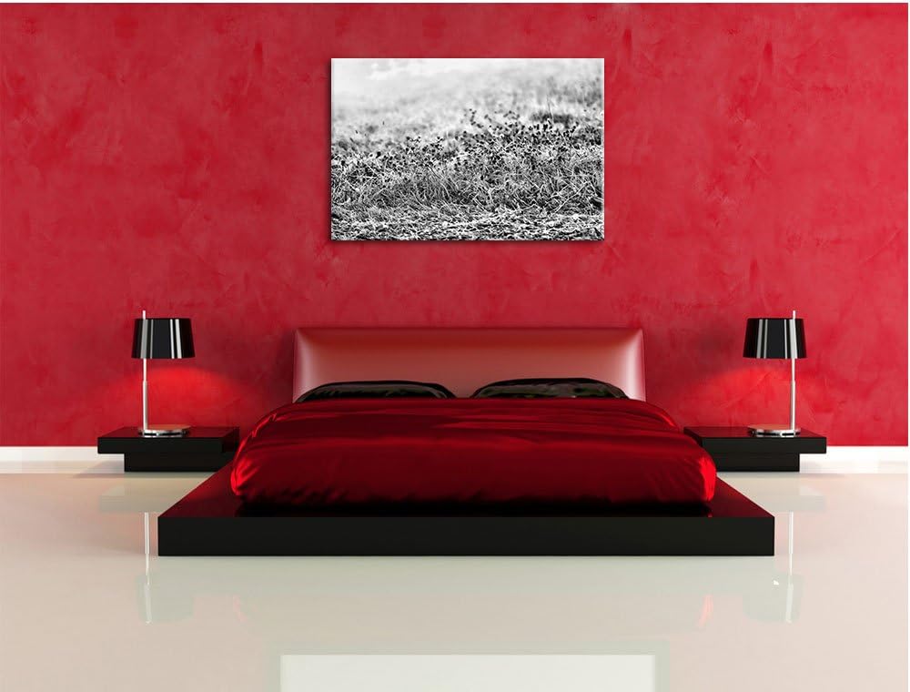 Pixxprint Lila Distel Feld im Retro Look als Leinwandbild | Grösse: 100x70 cm | Wandbild | Kunstdruc