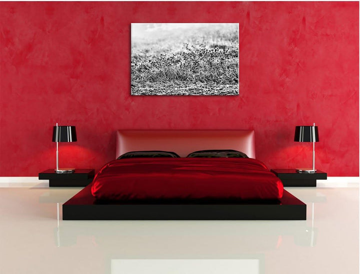 Pixxprint Lila Distel Feld im Retro Look als Leinwandbild | Grösse: 100x70 cm | Wandbild | Kunstdruc