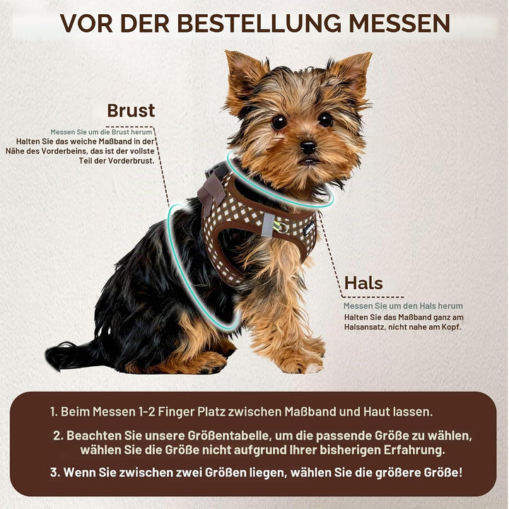 AIITLE Easy Walk Hundeweste, Geschirr und Leine, Set, Haustierbedarf, kein Ziehen, atmungsaktives Ne