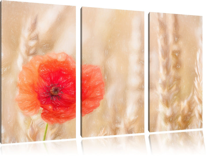 Pixxprint Mohnblume im Kornfeld als Leinwandbild/Grösse: 3 Teilig (120x80) cm/Wandbild/Kunstdruck/fe