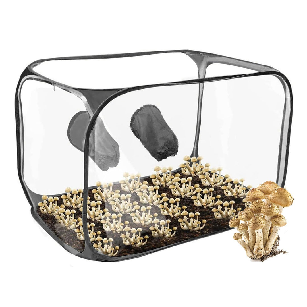 Pilzzuchtzelt, 90 * 60 * 60 cm Pilz Zucht Zelt Glovebox Pilzzucht Pilze Züchten Set Kompakte Pilzzuc