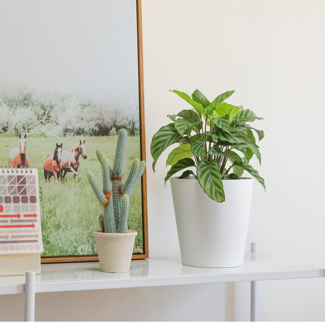 T4U 16,5cm Kunststoff Blumentopf mit Bewässerungssystem, 6er-Set Selbstbewässerung Übertopf mit Unte