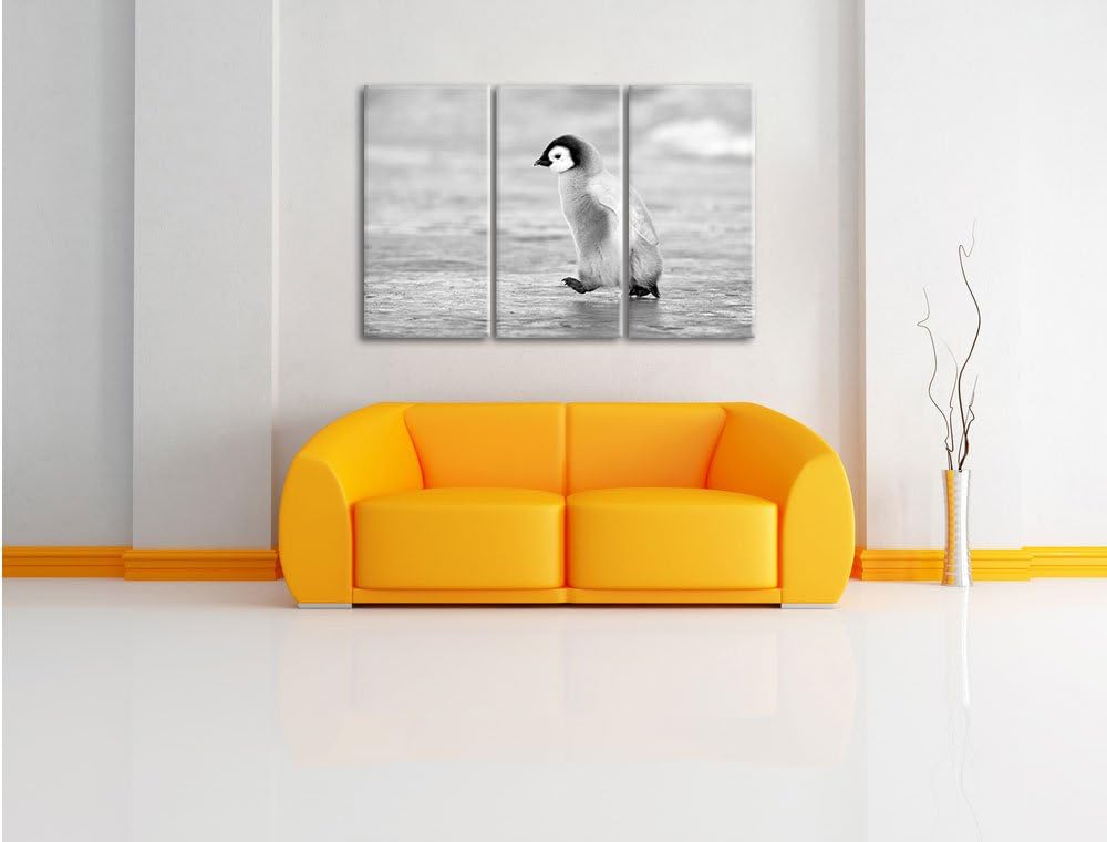 Pixxprint Kaiserpinguinkücken als Leinwandbild/Grösse: 3 Teilig (120x80) cm/Wandbild/Kunstdruck/fert