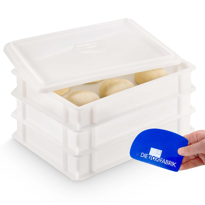 DIE BOX FABRIK 3x Pizzaballenbox Gusto + 1x Deckel (Grösse 40 x 30 x 7 cm) Weiss, stapelbarer Kunsts