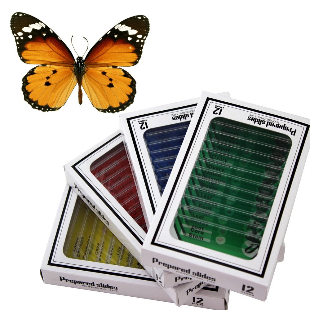 48Stk Tiere Insekten Pflanzen Blumen Kunststoff Mikroskop Folien Set Schmetterling Muster Color: B,