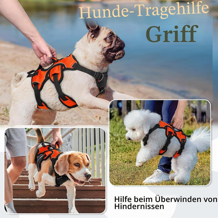 rabbitgoo Ausbruchsichere Hundegeschirr Kleine Hunde mit Griff, Anti Zug Sicherheitsgeschirr Hund At
