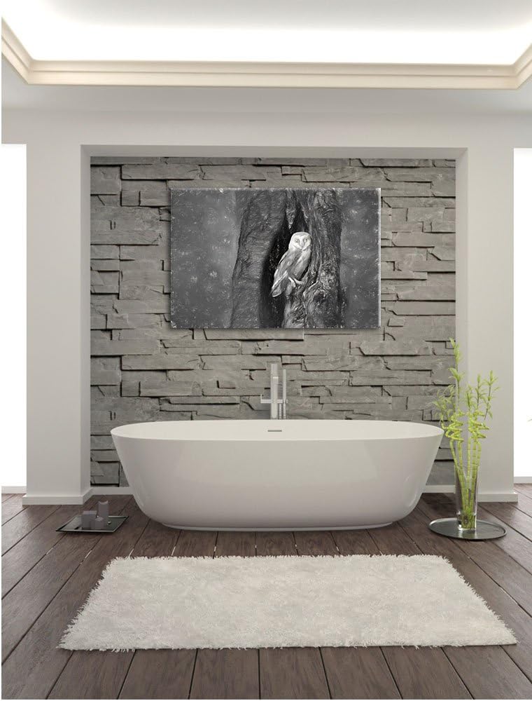 Pixxprint Schleiereule in der Baumhöhle Kunst Kohle Effekt, Format: 100x70 auf Leinwand, XXL riesige