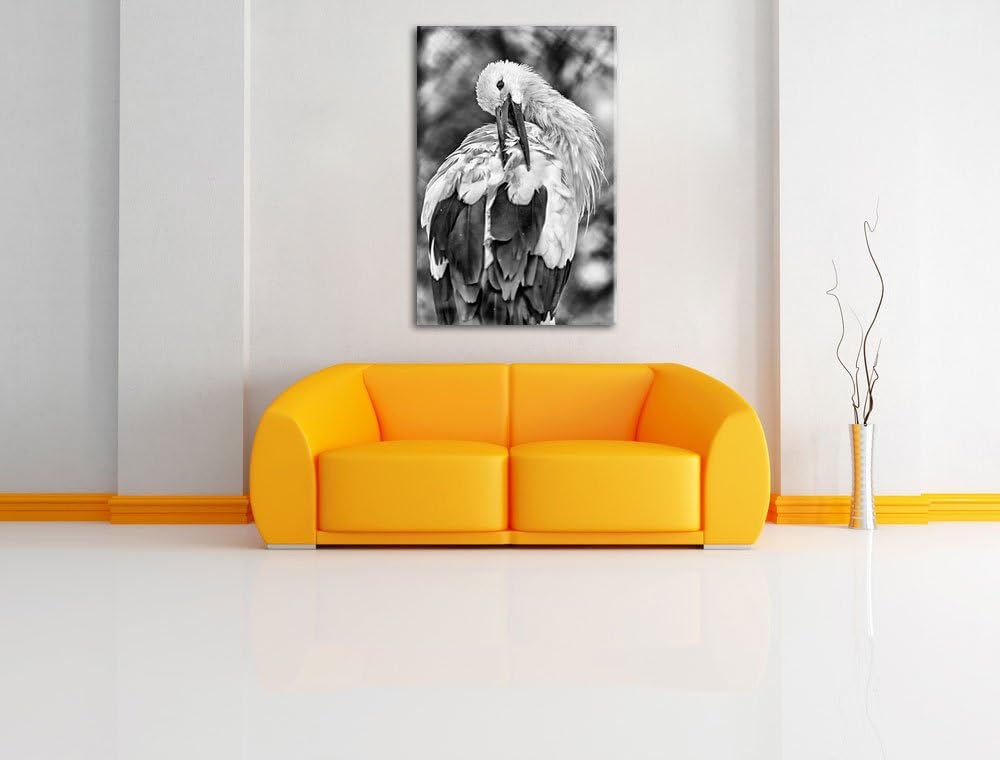 Pixxprint Storch putzt Sich als Leinwandbild/Grösse: 100x70 / Wandbild/Kunstdruck/fertig bespannt, 1