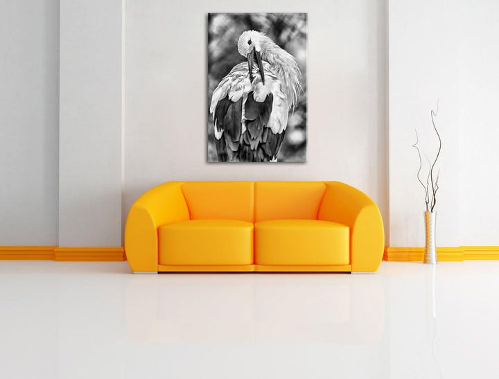 Pixxprint Storch putzt Sich als Leinwandbild/Grösse: 100x70 / Wandbild/Kunstdruck/fertig bespannt, 1