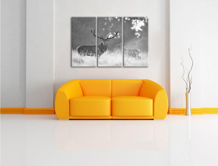Pixxprint Rotwild im Morgenlicht als Leinwandbild/Grösse: 3Teilig (120x80) / Wandbild/Kunstdruck/fer