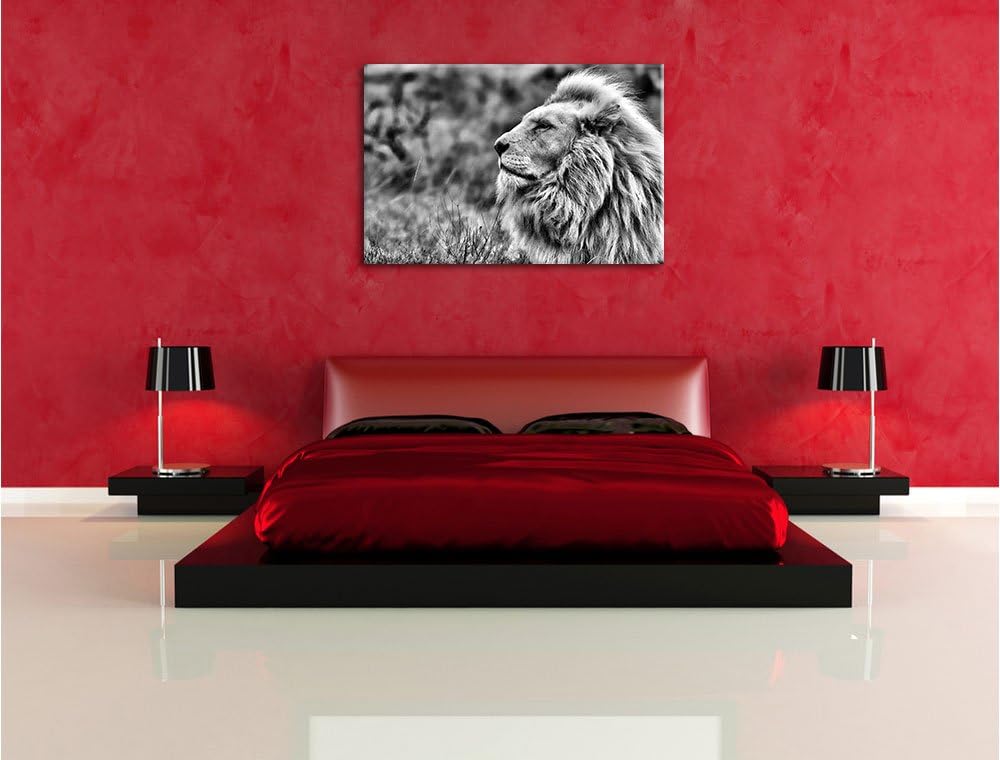 Pixxprint Weisser Löwe im Gebirge / 100x70cm Leinwandbild bespannt auf Holzrahmen/Wandbild Kunstdruc