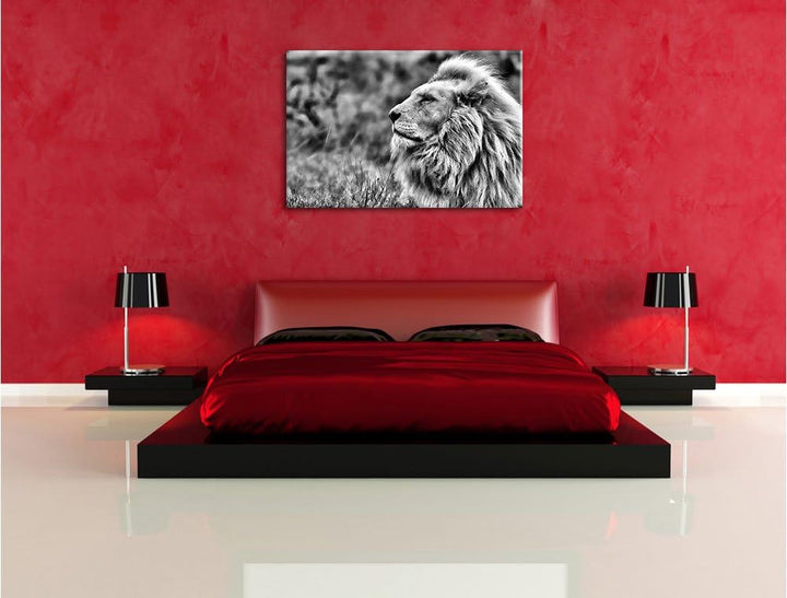 Pixxprint Weisser Löwe im Gebirge / 100x70cm Leinwandbild bespannt auf Holzrahmen/Wandbild Kunstdruc