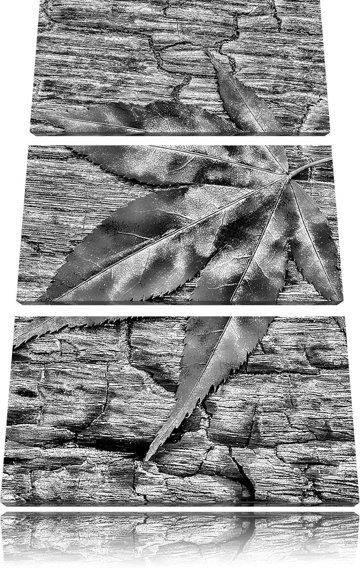 Pixxprint Monocrome, Rotes Blatt auf Holz, Laub, Natur 3-Teiler Leinwandbild 120x80 Bild auf Leinwan