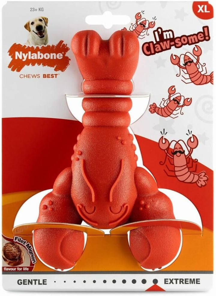 Nylabone, Extrem starker Kaueffekt, Neuartiges Kauspielzeug mit Hummer, Langlebig, Kauspielzeug für