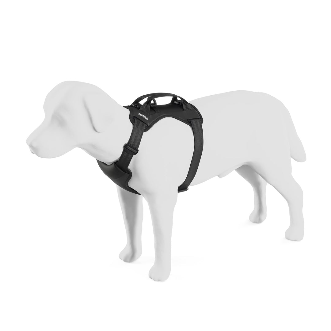 Thule Cappy Hundegeschirr Fürs Auto Black, S Schwarz S, Schwarz S