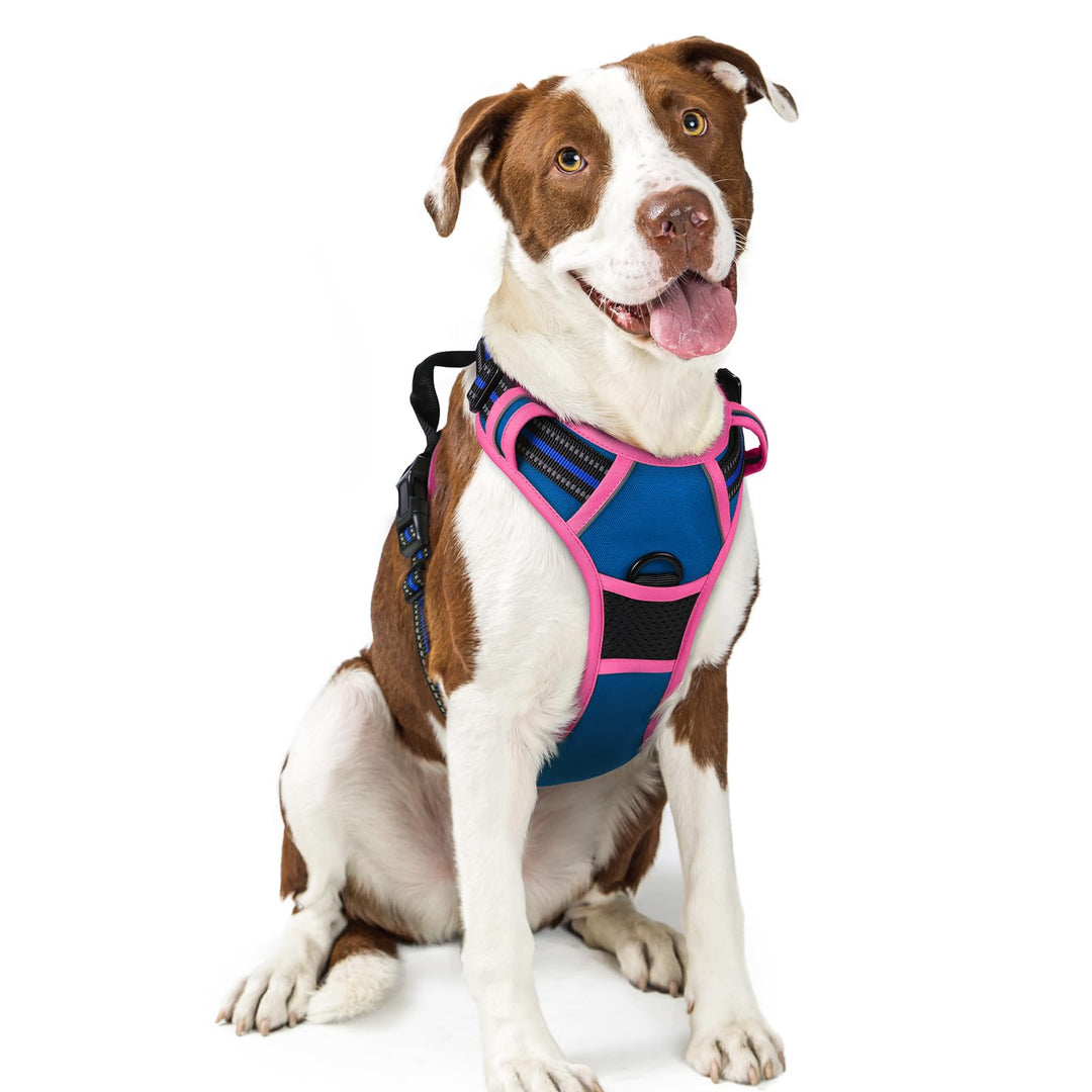 rabbitgoo Hundegeschirr Mittelgrosse Hunde, Anti Zug Geschirr mit Kontrolle, No Pull Verstellbar Hun