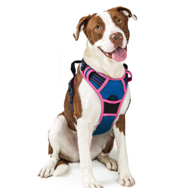 rabbitgoo Hundegeschirr Mittelgrosse Hunde, Anti Zug Geschirr mit Kontrolle, No Pull Verstellbar Hun