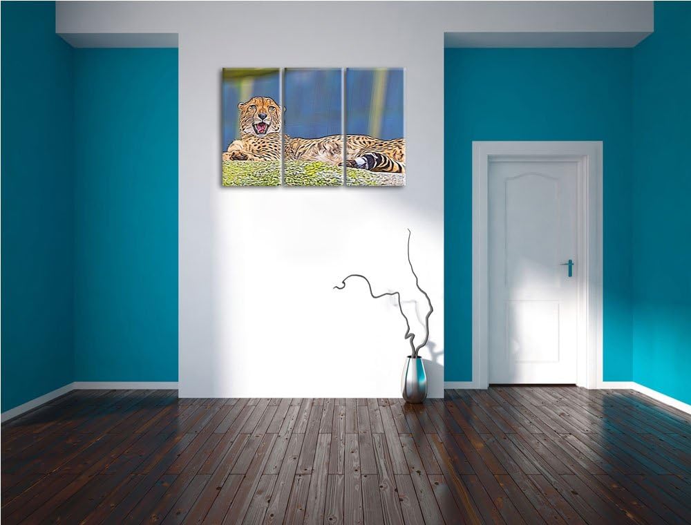 schlafender Gepard Spezial 3-Teiler Leinwandbild 120x80 Bild auf Leinwand, XXL riesige Bilder fertig