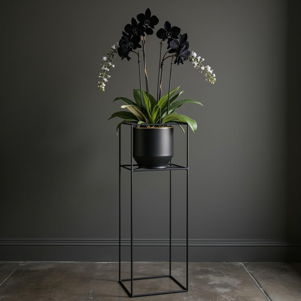 Pflanzenständer Filo - 24x24x80cm - Farbe Schwarz - für Zimmerblumen - Metallregal - Dekorativer Tis