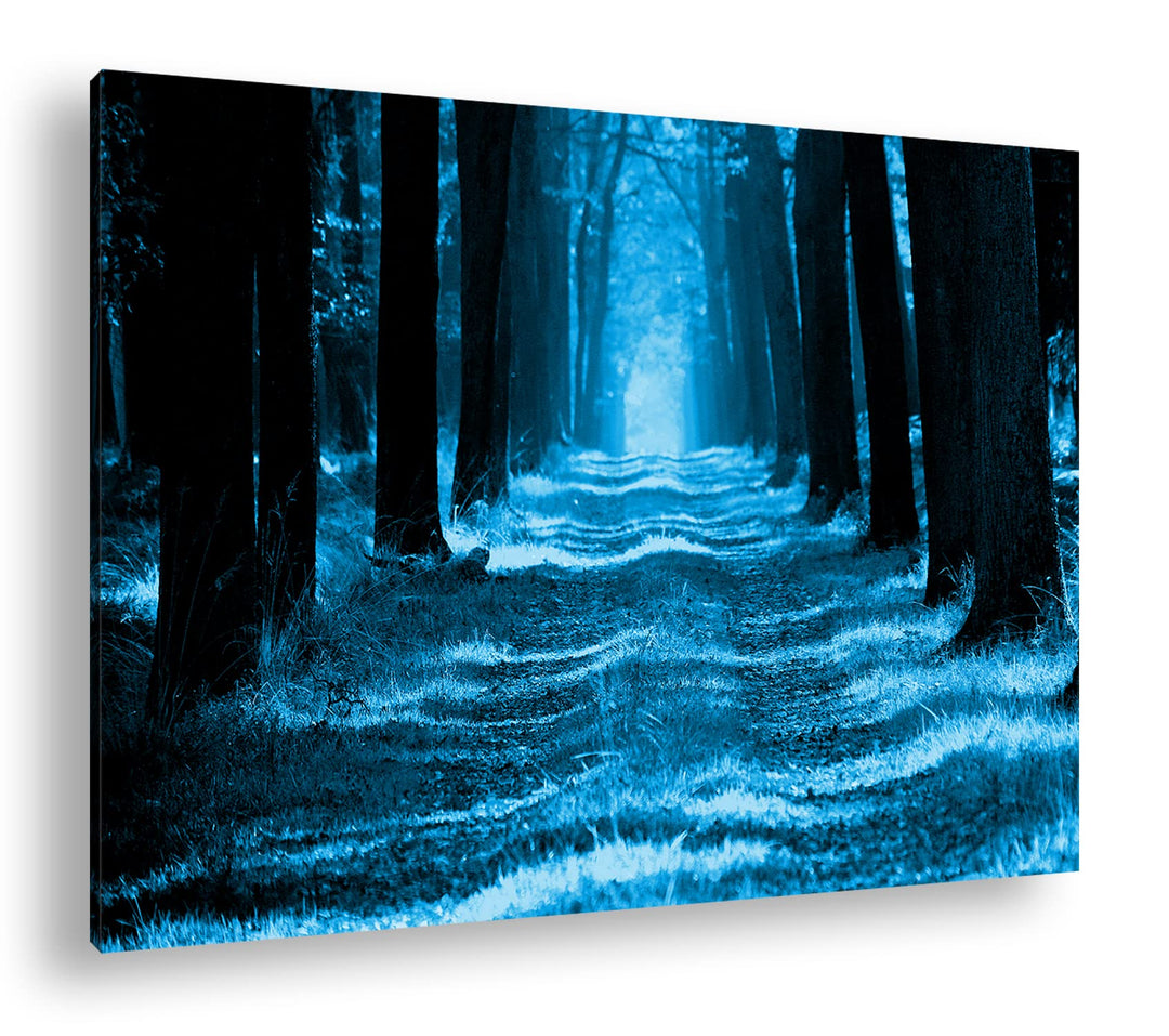 deyoli Waldweg im Herbst Format 80x60 Effekt: Monocrome Blau als Leinwandbild, Motiv fertig gerahmt